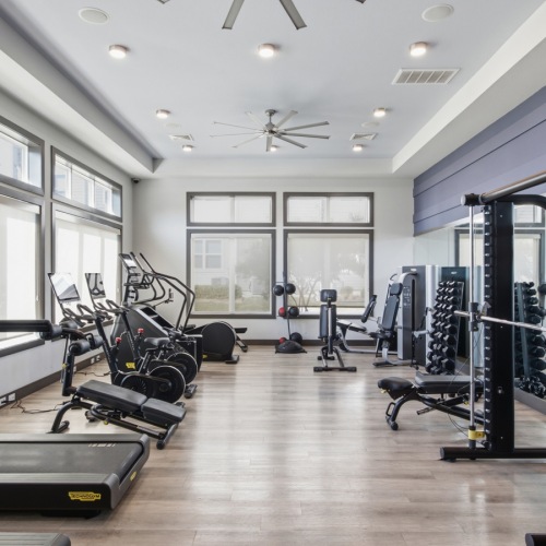 State-of-the-art fitness center with modern exercise equipment and large windows at Latitude Magnolia