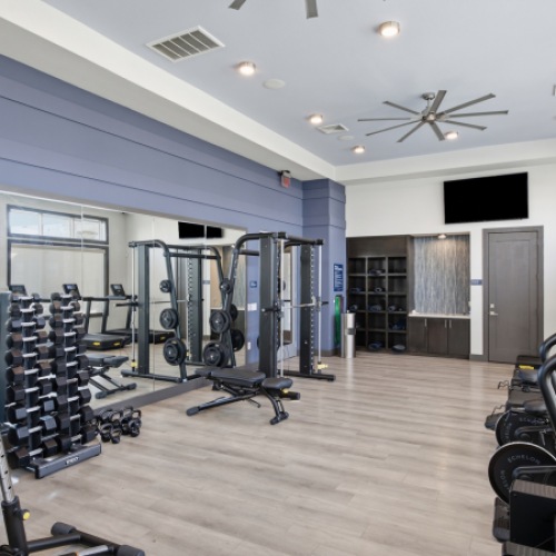 State-of-the-art fitness center with modern exercise equipment and large windows at Latitude Magnolia
