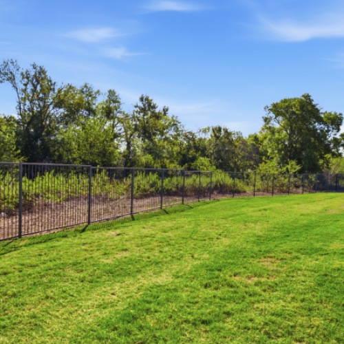 Outdoor dog park with green grass and a fence at Latitude Magnolia